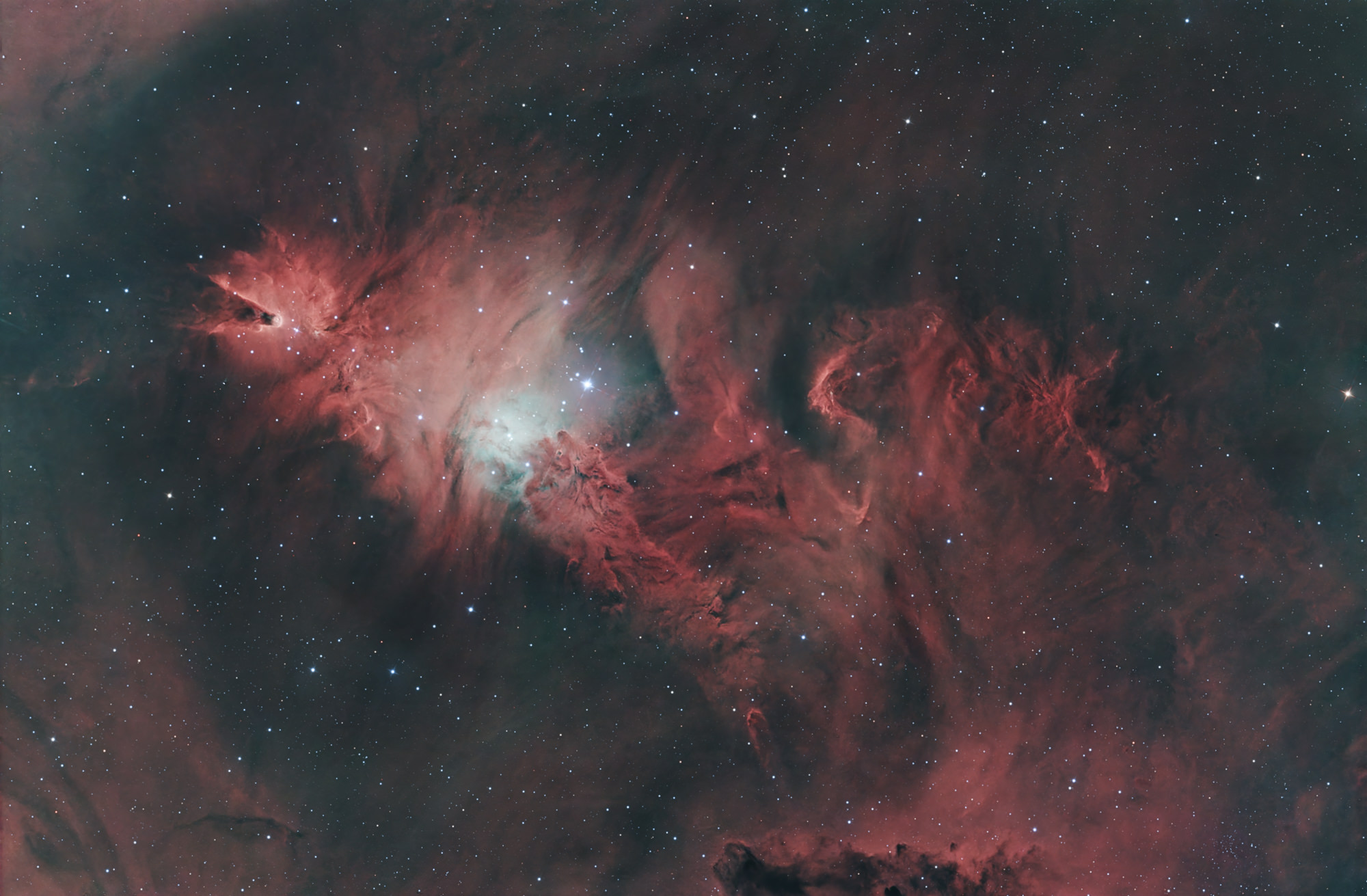 The bluish open star cluster NGC 2264 lies in the constellation Unicorn and is a very young star-forming region. The cone-shaped dark nebula on the left is about seven light years in extent.